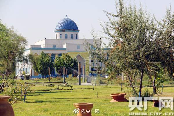 艾尔登法环武器使命短刀属性怎么样