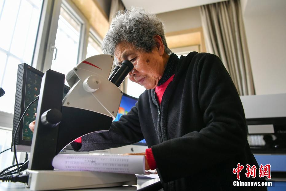 觅长生运气术有什么用