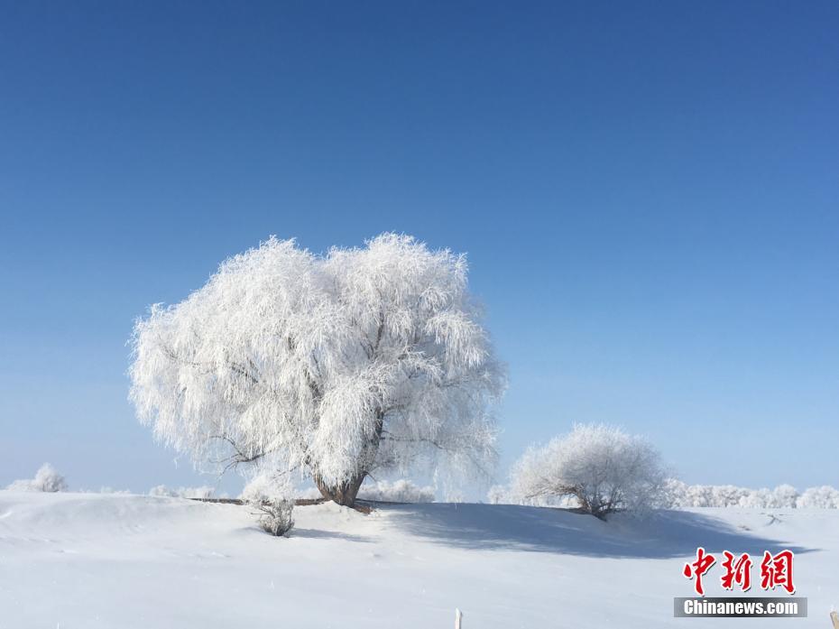  东方平野孤鸿调薪可以干嘛