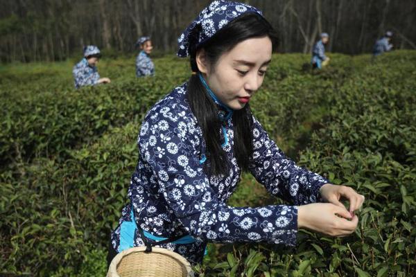 赛博朋克2077寡妇制造器有什么优缺点
